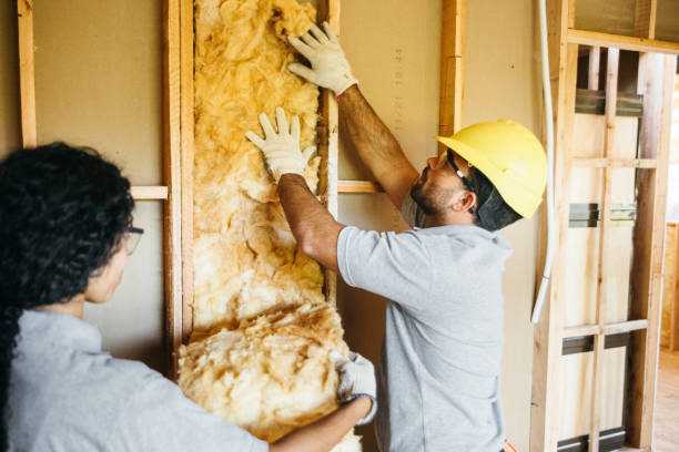 Best Cellulose Insulation  in West Allis, WI